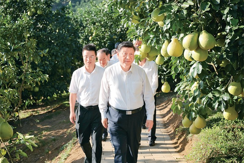 圆满完成各项议程